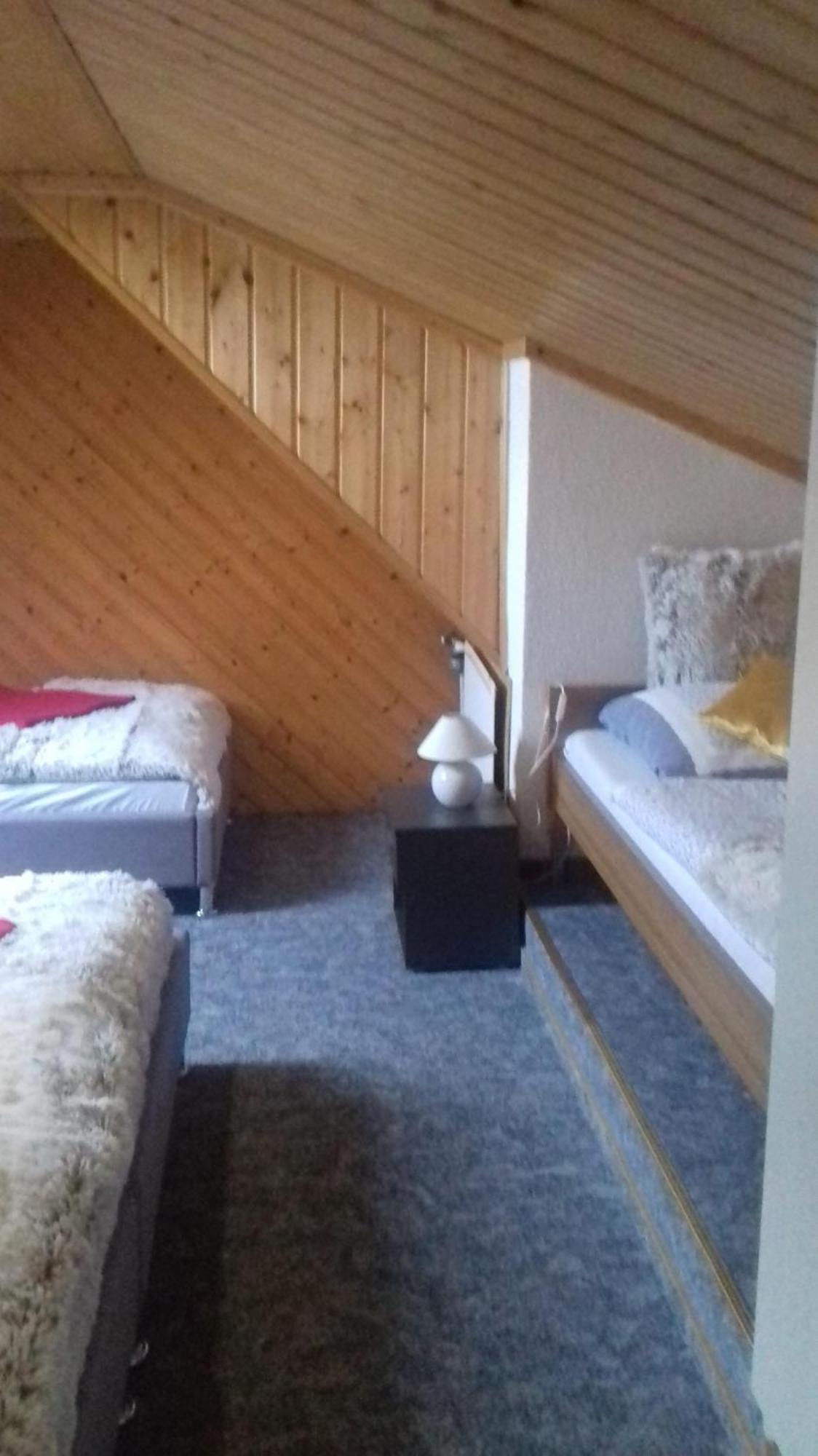 Appartement Langer Altenberg (Monts-Métallifères)