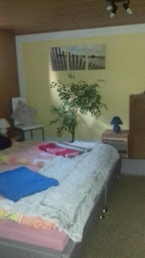 Langer Appartement